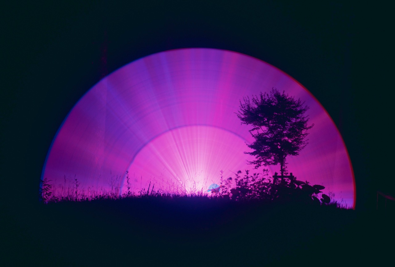 Jean-marc Spaans Paars natuur boom Japan